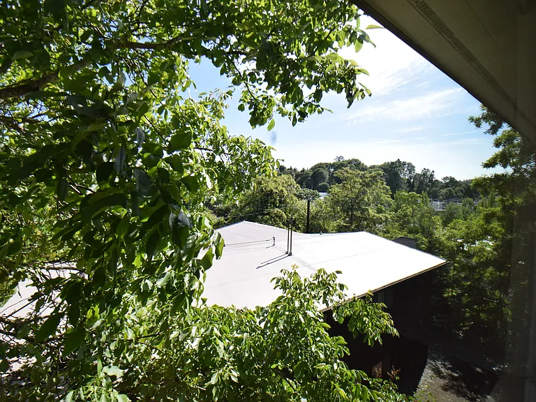 Living room window, looking south