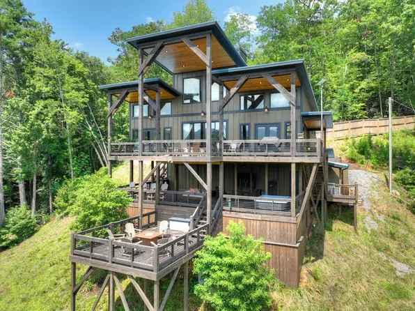 146 Hickory Nut Trl, Cherry Log, GA 30522