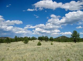 1668 Forest Service Rd 216, Lake George, CO 80827