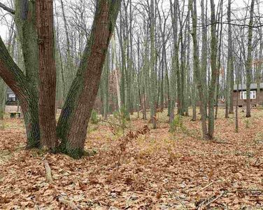 0 Golfview & Chestnut, Roscommon, MI, 48653