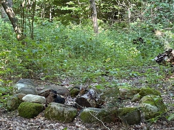 5th image of 0 Briggs Rd