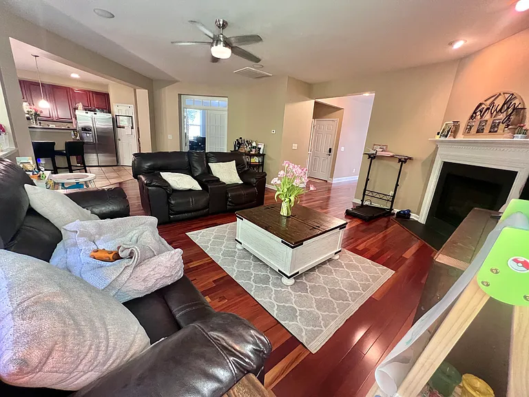Family Room -Current- Picture 3