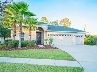 27501 Sora Blvd, Wesley Chapel, FL 33544