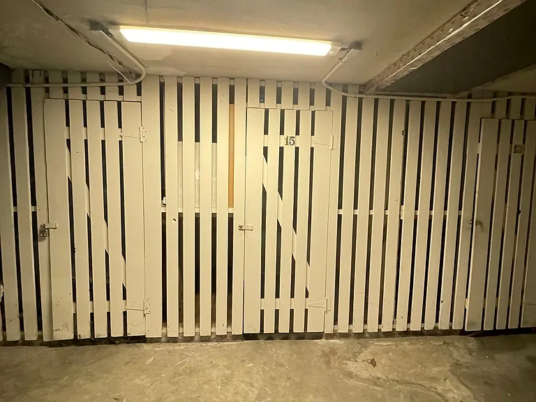 Storage units in basement