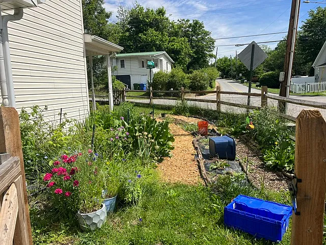 231 Merchant St — Photo 3