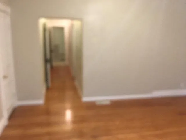 2 bed, 900 sqft, $1,000 — Photo 2