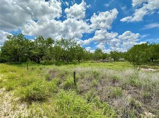 0 Calichera Rd, Edinburg, TX 78541