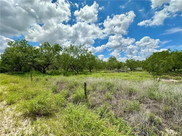 0 Calichera Rd, Edinburg, TX 78541