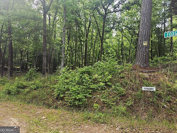 3rd image of 0 Island Creek Dr NE