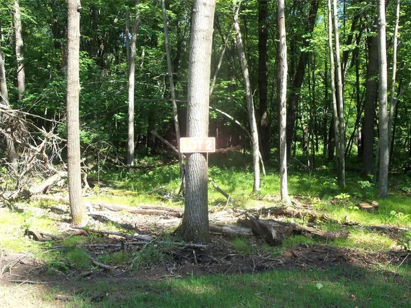 Lot 2 Howard Johnson Trail, Siren, WI 54872