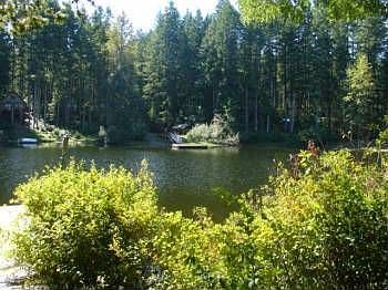 5th image of 1071 NE Collins Lake Dr