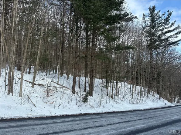 0 Song Mountain Rd #3, Preble, NY 13141