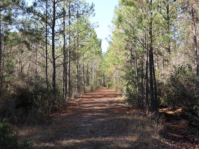 0 Misty Ridge Ln, Walterboro, SC, 29488