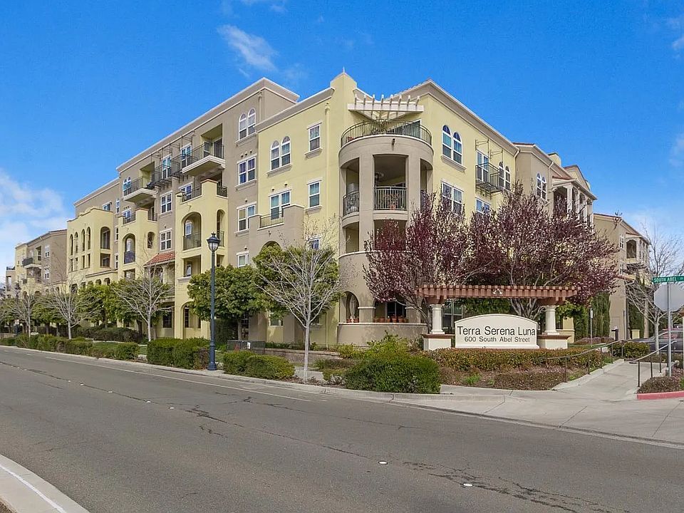 View from the Street