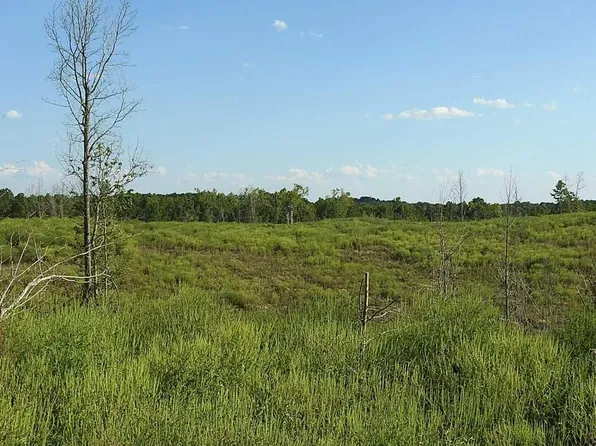 0 Langford Rd NE #9622, Ranger, GA 30734