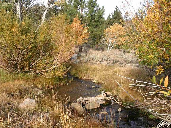 4th image of 86574 Highway 395