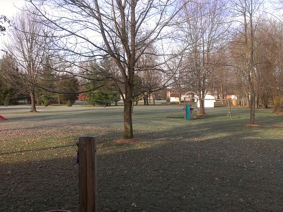 Park-like setting in the backyard