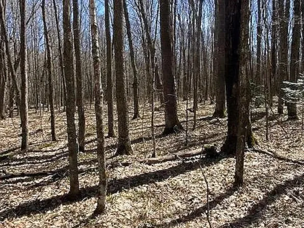 5069 Midway Ln #13, Laona, WI 54541