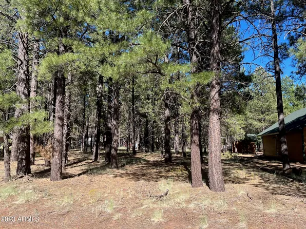 1675 N FLEET DEER Drive #33, Parks, AZ 86018