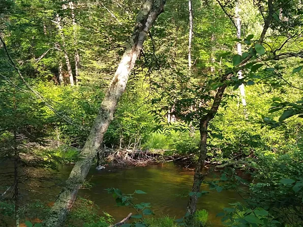 LOT 18 Running Bear Ln, Harshaw, WI 54529