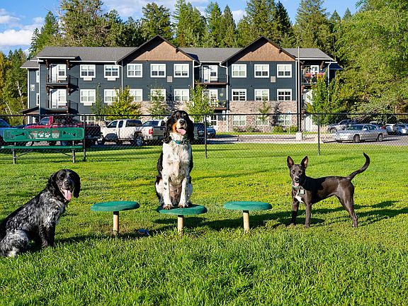 Pet friendly community