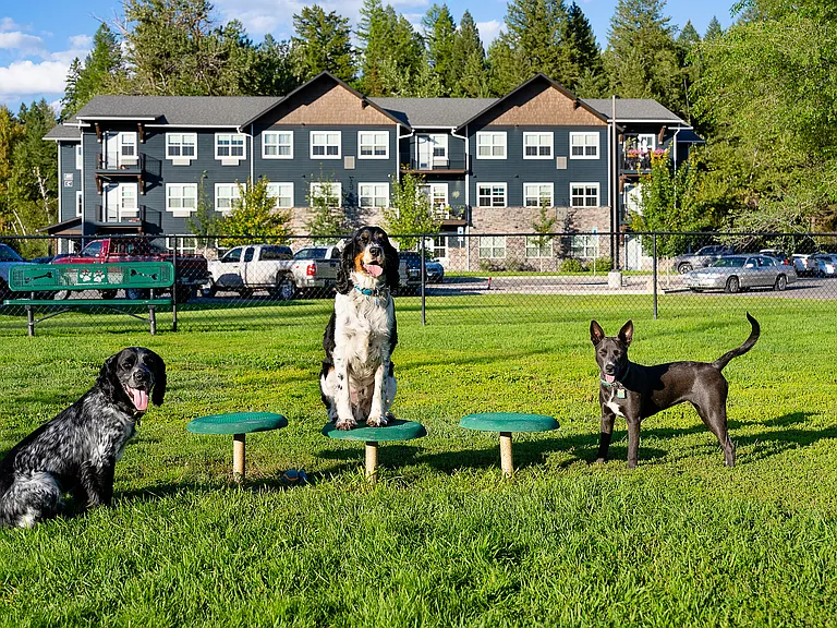 Pet friendly community