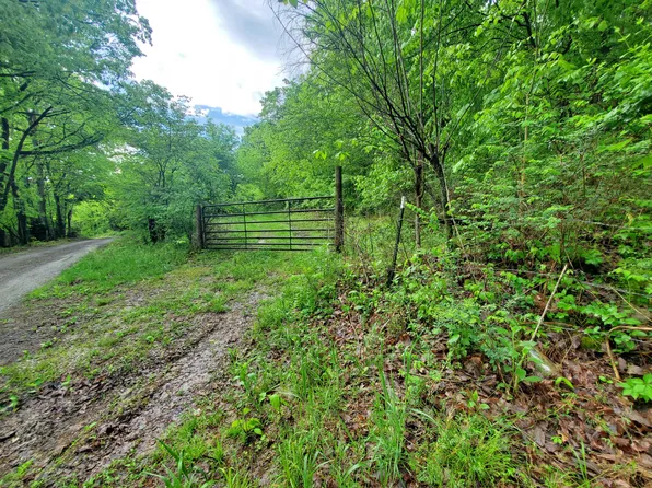 0 E Potter Ln, Alexandria, TN 37012