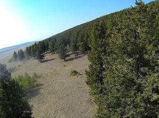 1676 Redhill Rd, Fairplay, CO 80440