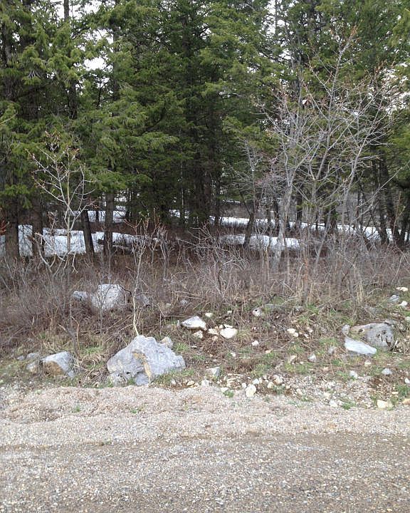1st image of 31 Blackwood Dr