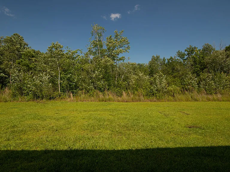 419 Turp Landing Ln — Photo 37