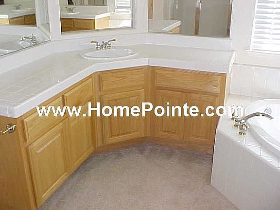 Master Bath Sink