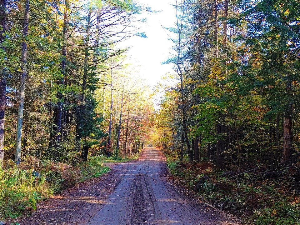 L26.3 Holland Road, Wevertown, NY 12886 MLS 202314951 Zillow
