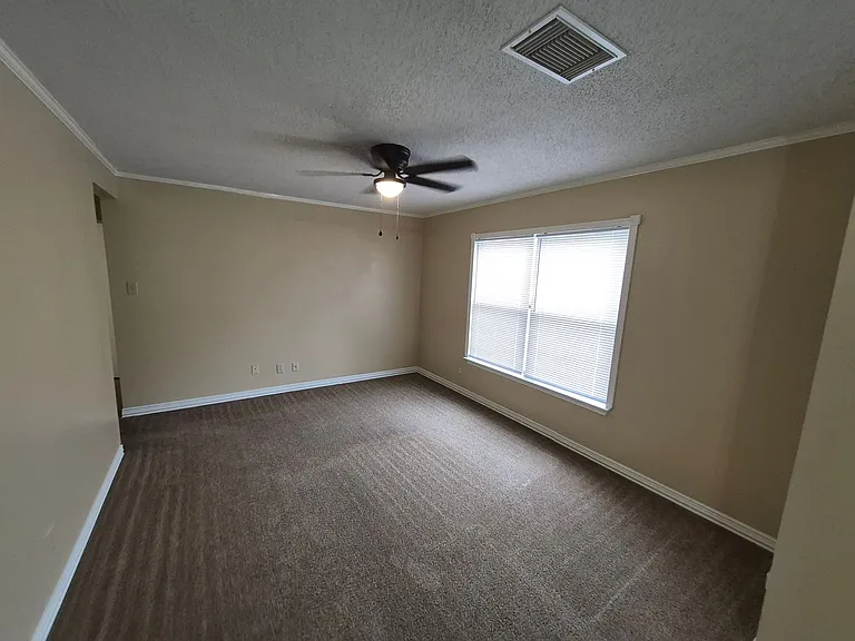 8007 Chestnut Bluff Dr — Photo 7