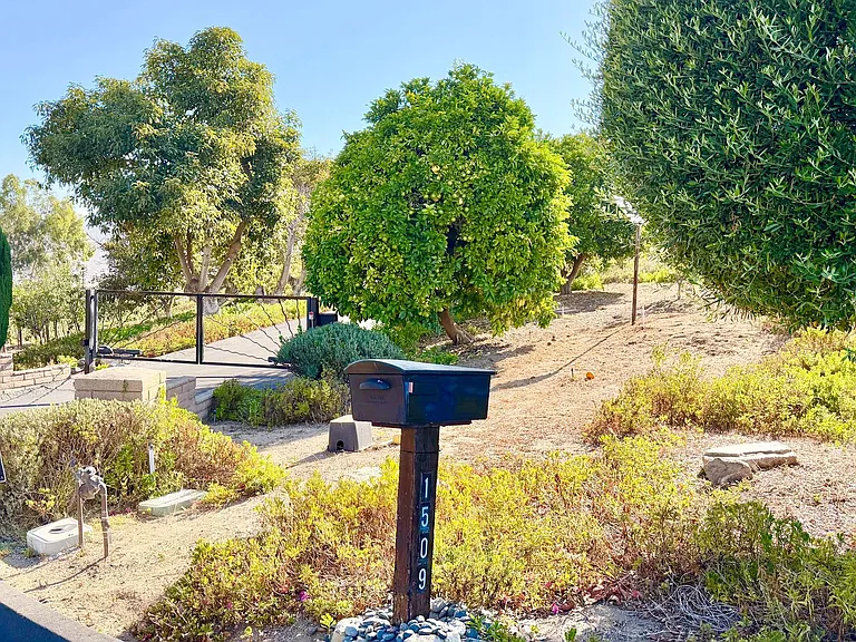 1509 Macadamia Dr — Photo 48