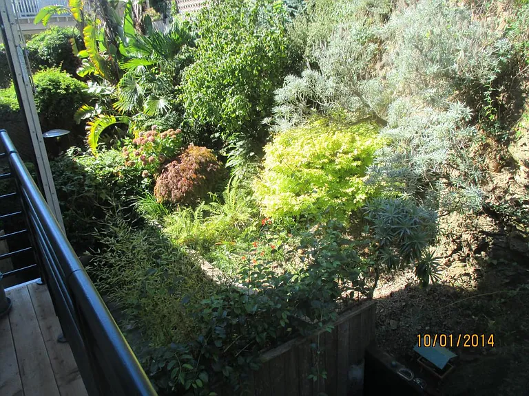 876 Castro St — Photo 31