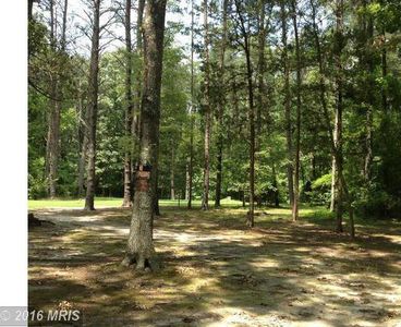 5307 Wilton Ln, Partlow, VA, 22534