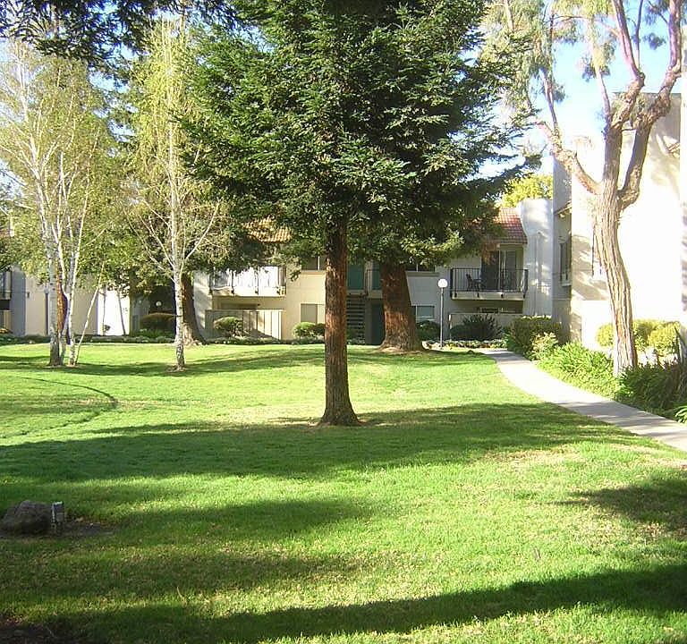 Lush landscaping