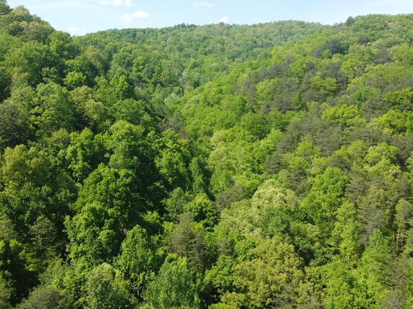 287 Hayes Hollow Rd, Maynardville, TN 37807