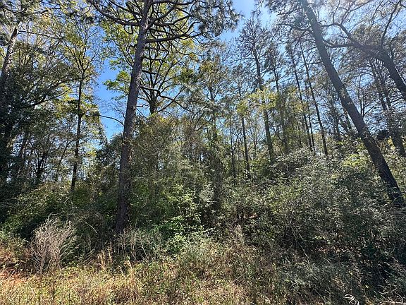 5th image of PARCEL Holloway Rd #B