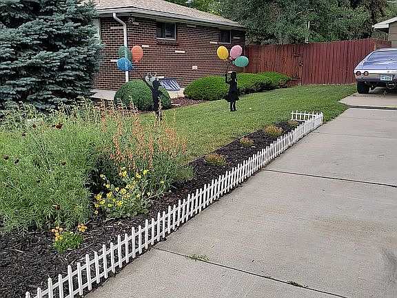 Driveway View