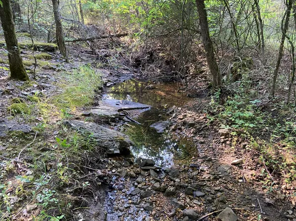 Bruce Mitchell Rd, Pocahontas, AR 72455