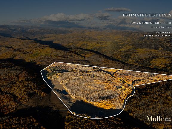 3rd image of 12945 Forest Creek Rd #78