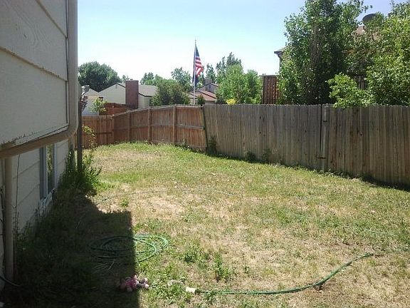 Part of the back yard