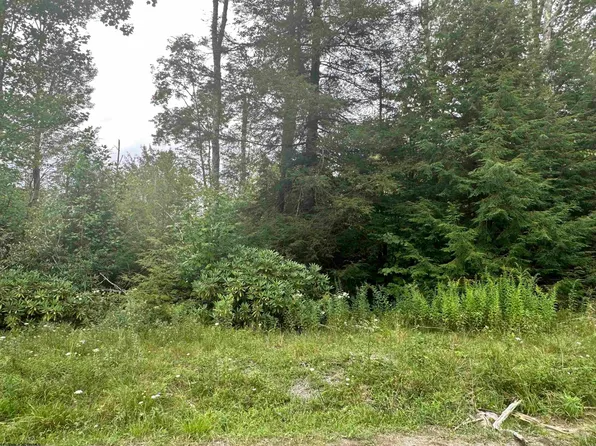 Lots 60 And 61 Venice Pl, Davis, WV 26260