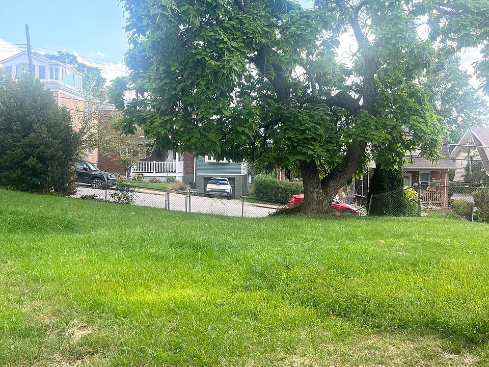 Large level rear yard looking out from house