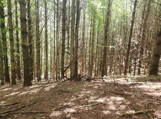 Tbd Elk Creek Pkwy, Elk Creek, VA 24326