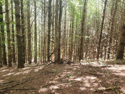 Tbd Elk Creek Pkwy, Elk Creek, VA, 24326
