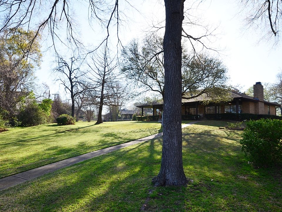 Backyard-shade trees