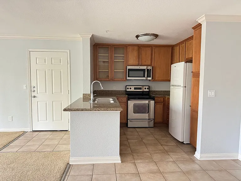 1023 Vista Del Cerro Dr #203 — Photo 2