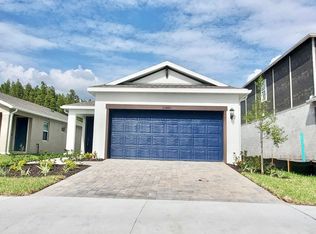 33885 Floating Heart Ct, Wesley Chapel, FL 33545